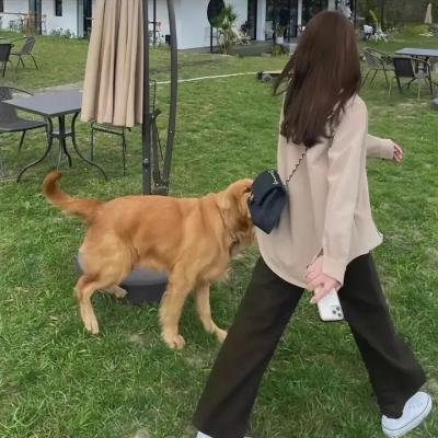 李天腾与赵小宝